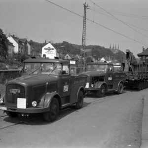 Bilder des Monats: Juli 2021