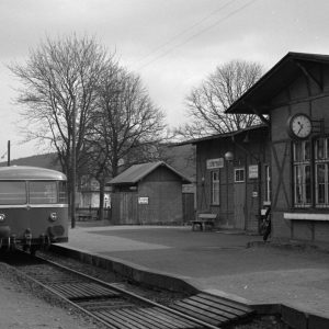 Bilder des Monats: Oktober 2021