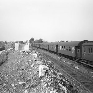 Bilder des Monats: Juni 2022