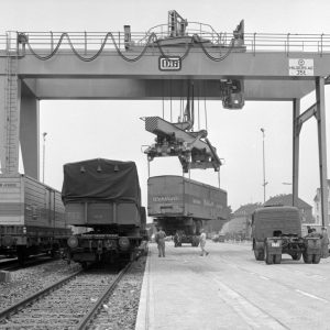 Bilder des Monats: August 2023