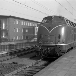 Bilder des Monats: Februar 2024