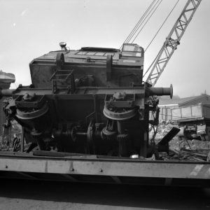 Bilder des Monats: April 2024