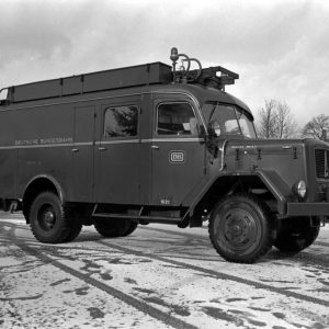 Bilder des Monats: Juni 2024