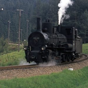 Bilder des Monats: Juli 2024