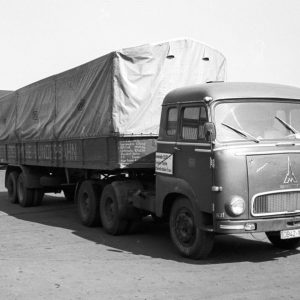 Bilder des Monats: November 2024