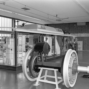 Bilder des Monats: Dezember 2024