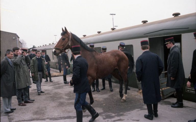 Mehr über den Artikel erfahren Bilder des Monats: Mai 2025