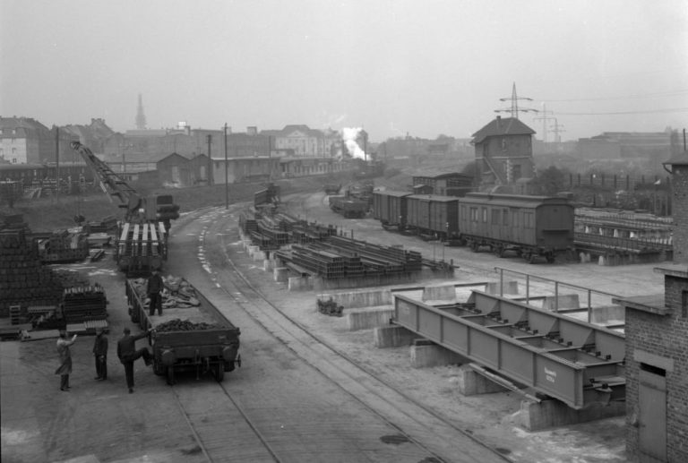 Mehr über den Artikel erfahren Bilder des Monats: Juli 2025