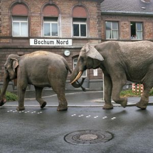 Bilder des Monats: Mai 2026